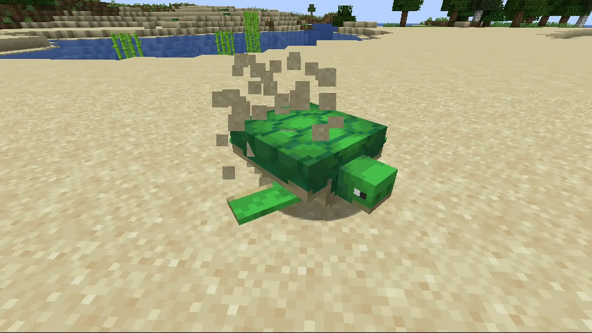 Как разводить черепах в Minecraft и сколько вылупляются яйца - изображение