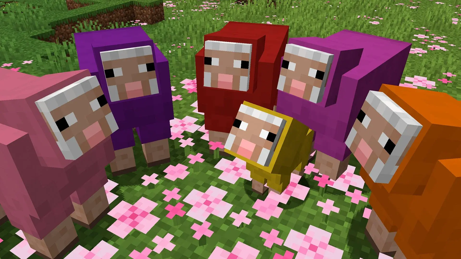 Что едят овцы в Minecraft и как их разводить - изображение