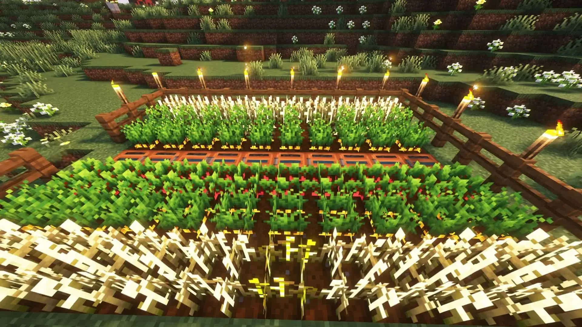 Пшеничная, свекольная, морковная и картофельная фермы в Minecraft - изображение