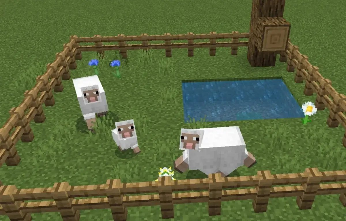Что едят овцы в Minecraft и как их разводить - изображение