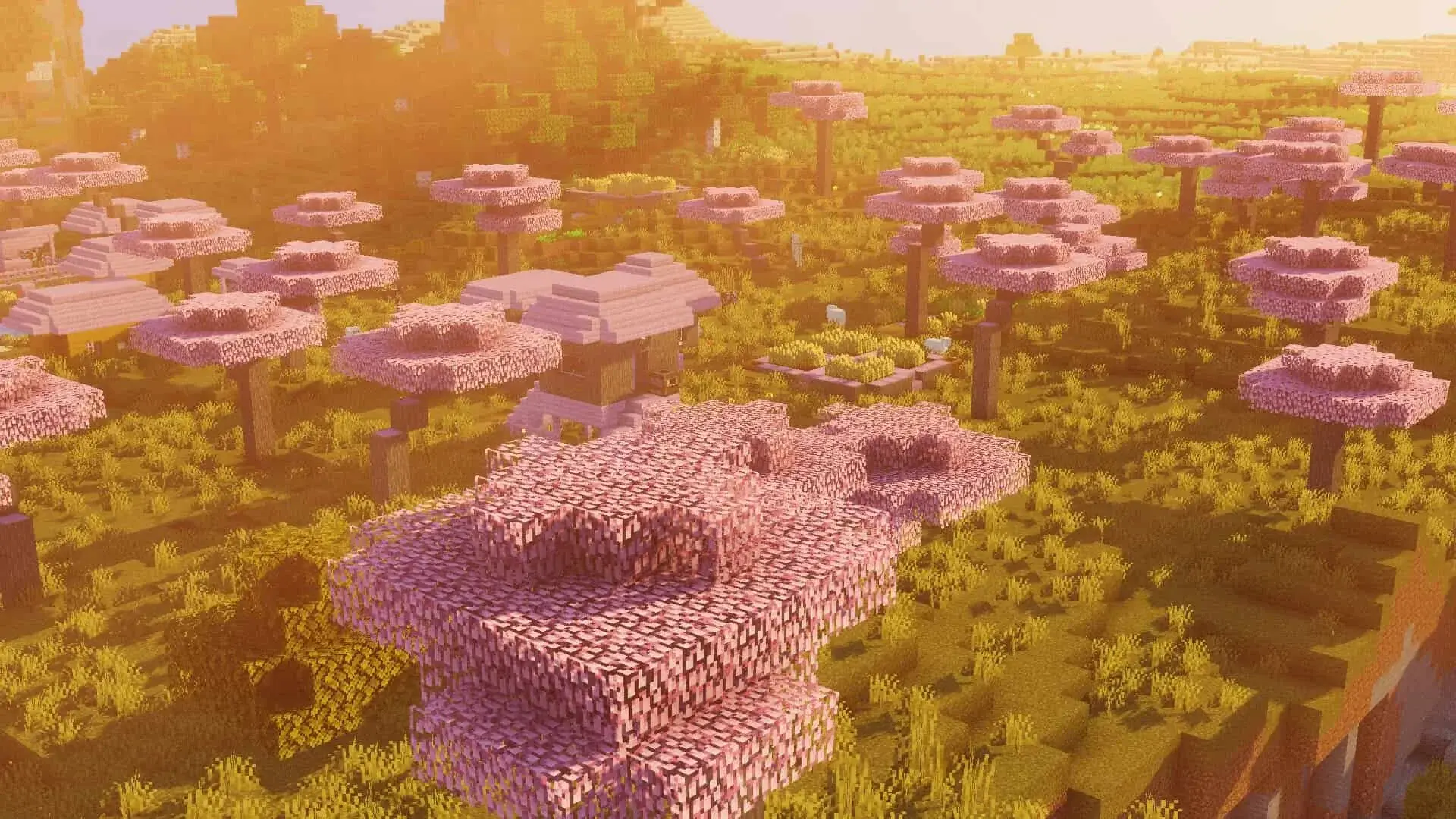 Вишнёвая роща в Minecraft: где найти и как использовать розовое дерево - изображение
