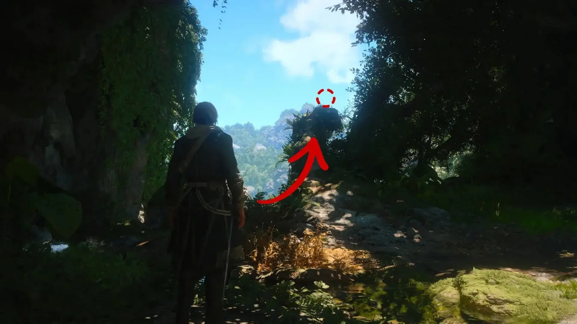 Assassin's Creed Black Flag Resynced. Все точки синхронизации - изображение