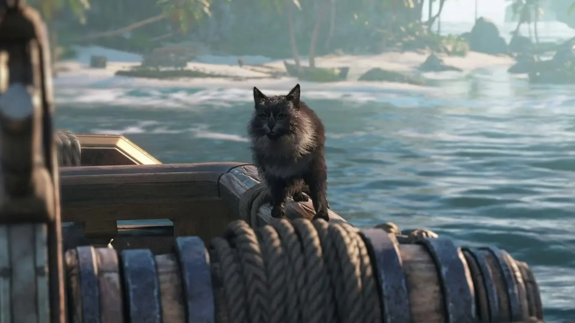 Assassin's Creed Black Flag Resynced. Все питомцы - изображение
