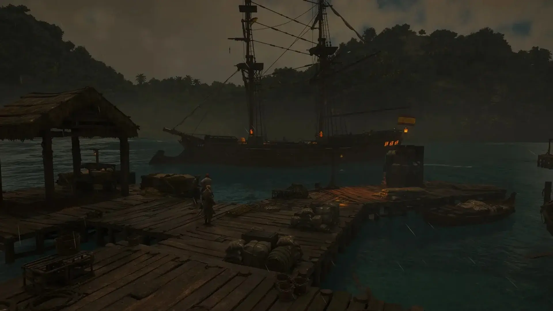 Assassin's Creed Black Flag Resynced. Все питомцы - изображение