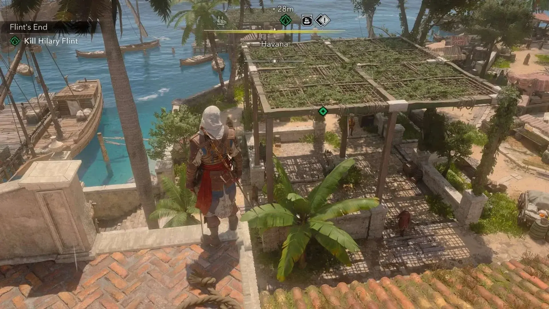 Assassin's Creed Black Flag Resynced. Охота на тамплиеров: Рона Динсмор - изображение