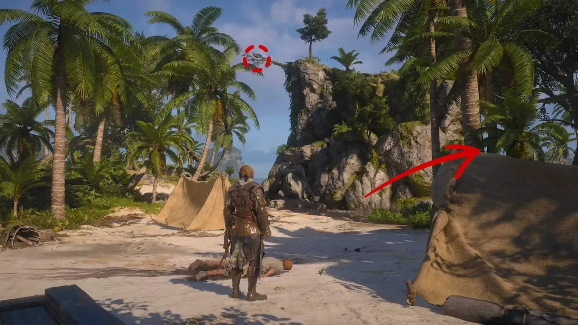 Assassin's Creed Black Flag Resynced. Все точки синхронизации - изображение