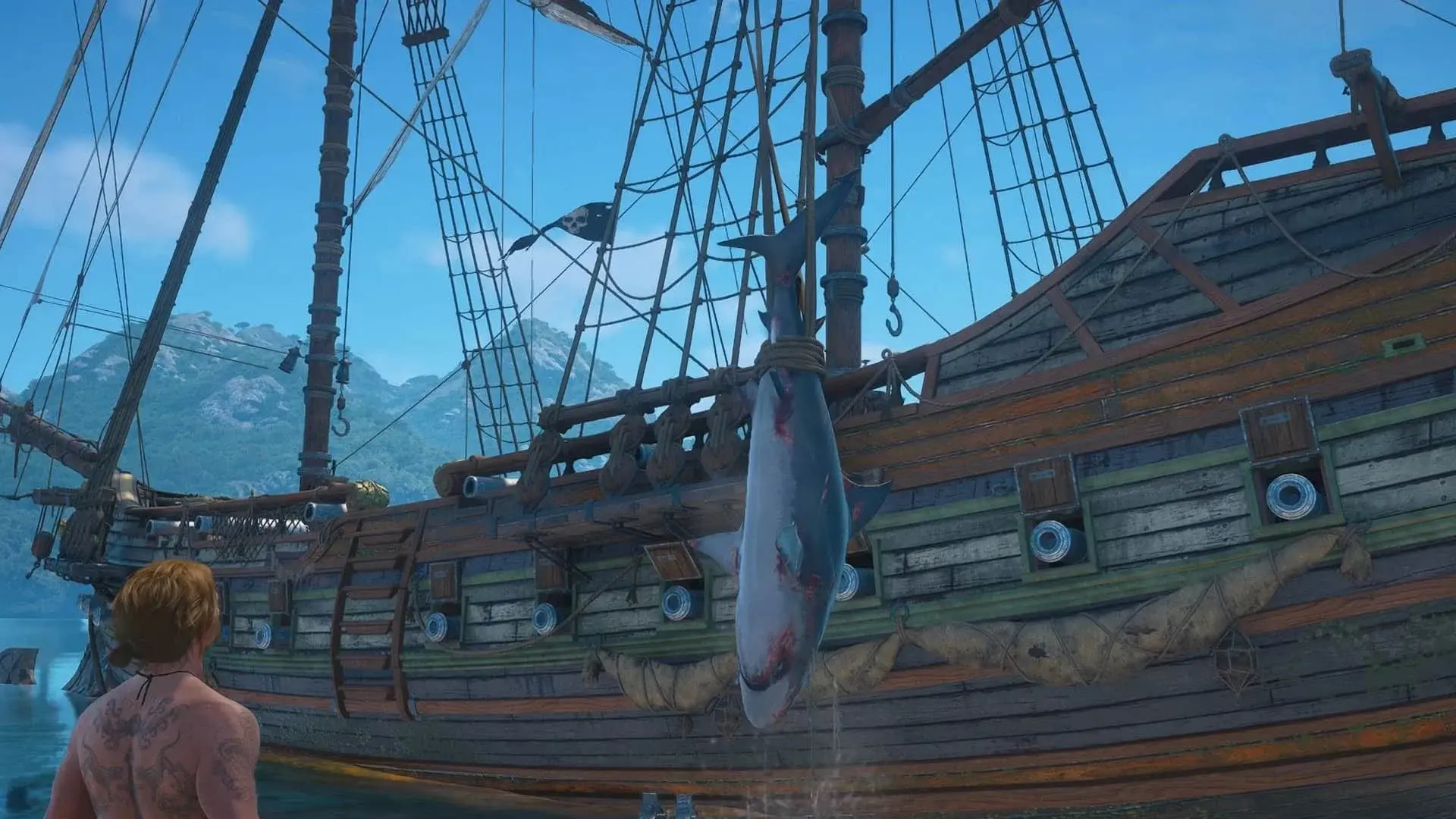 Assassin's Creed Black Flag Resynced. Где найти всех животных - изображение