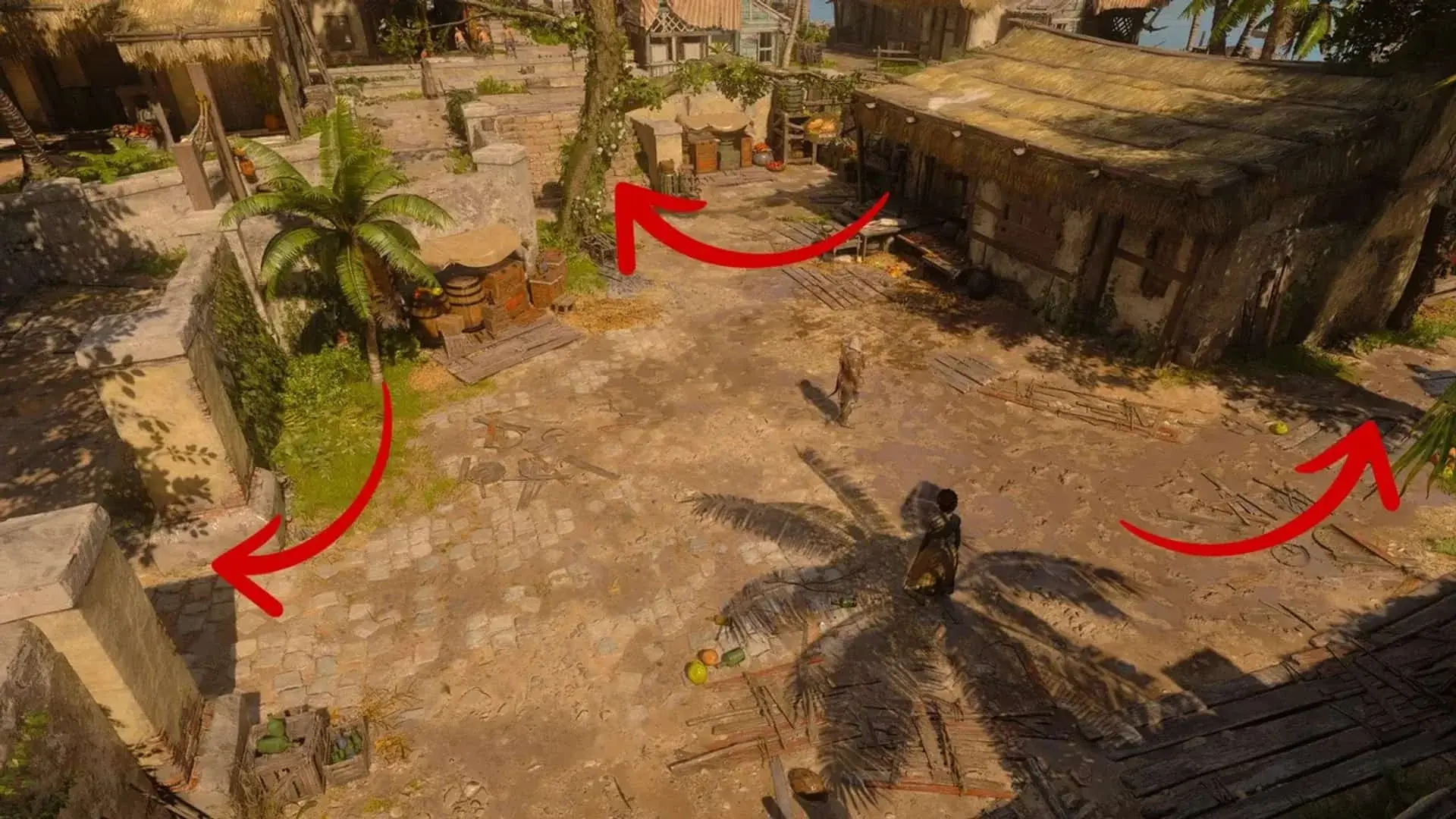 Assassin's Creed Black Flag Resynced. Охота на тамплиеров: Рона Динсмор - изображение