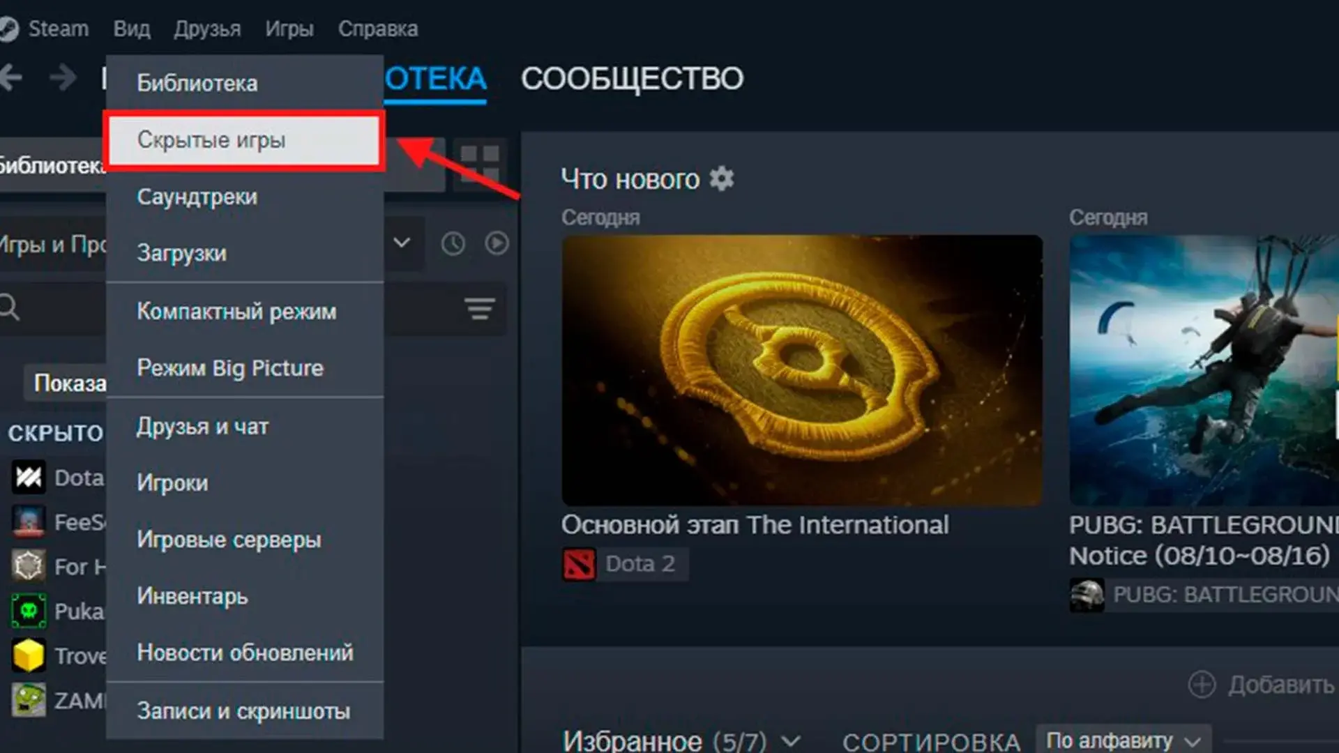 Как посмотреть скрытые игры в Steam: найти, показать и убрать - изображение