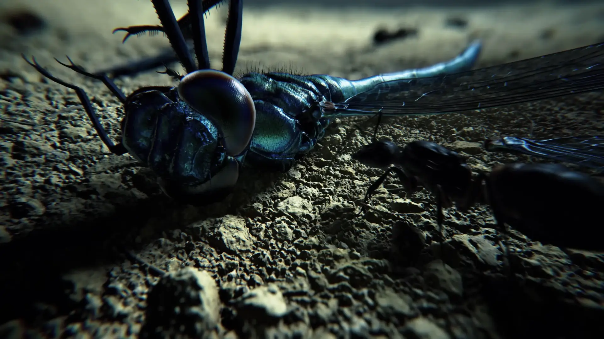 Говорят, Resident Evil Veronica будет сложнее ремейка второй части - изображение