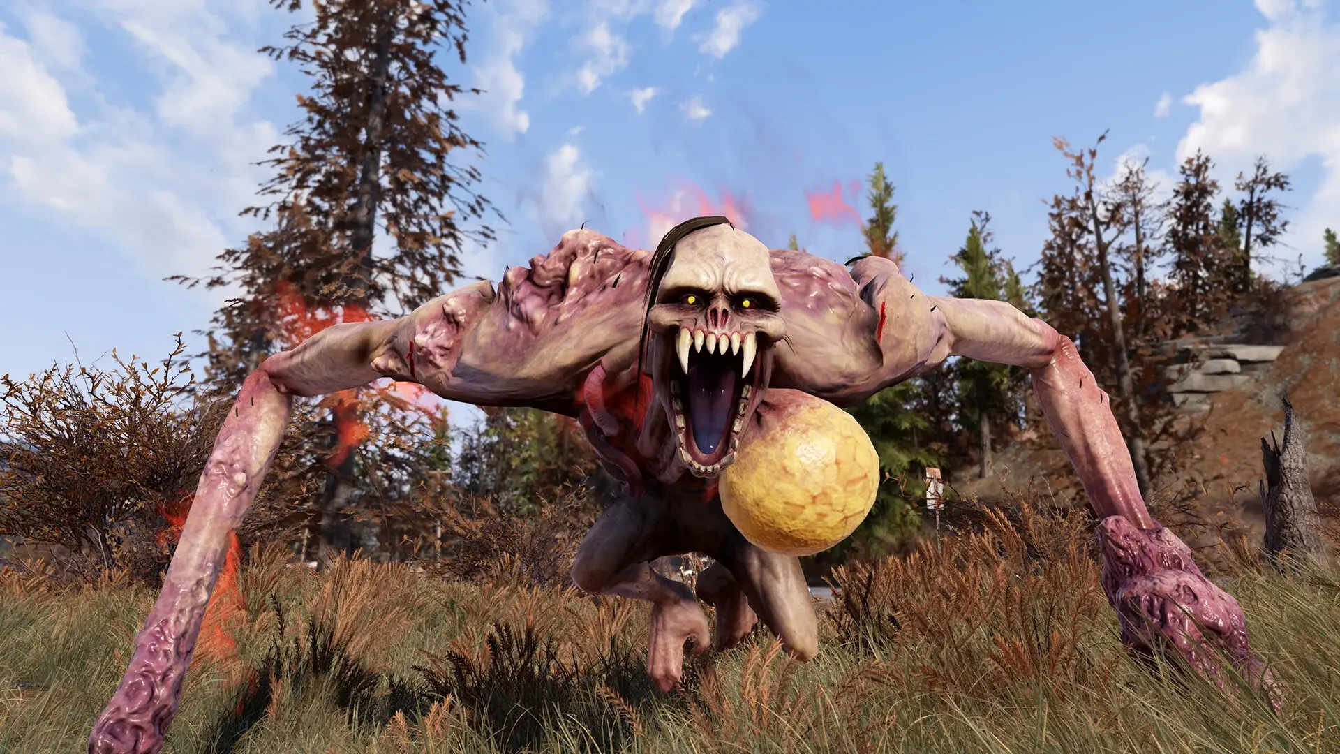 В Bethesda не верили, что разрабов Skyrim и Fallout могут сократить - изображение
