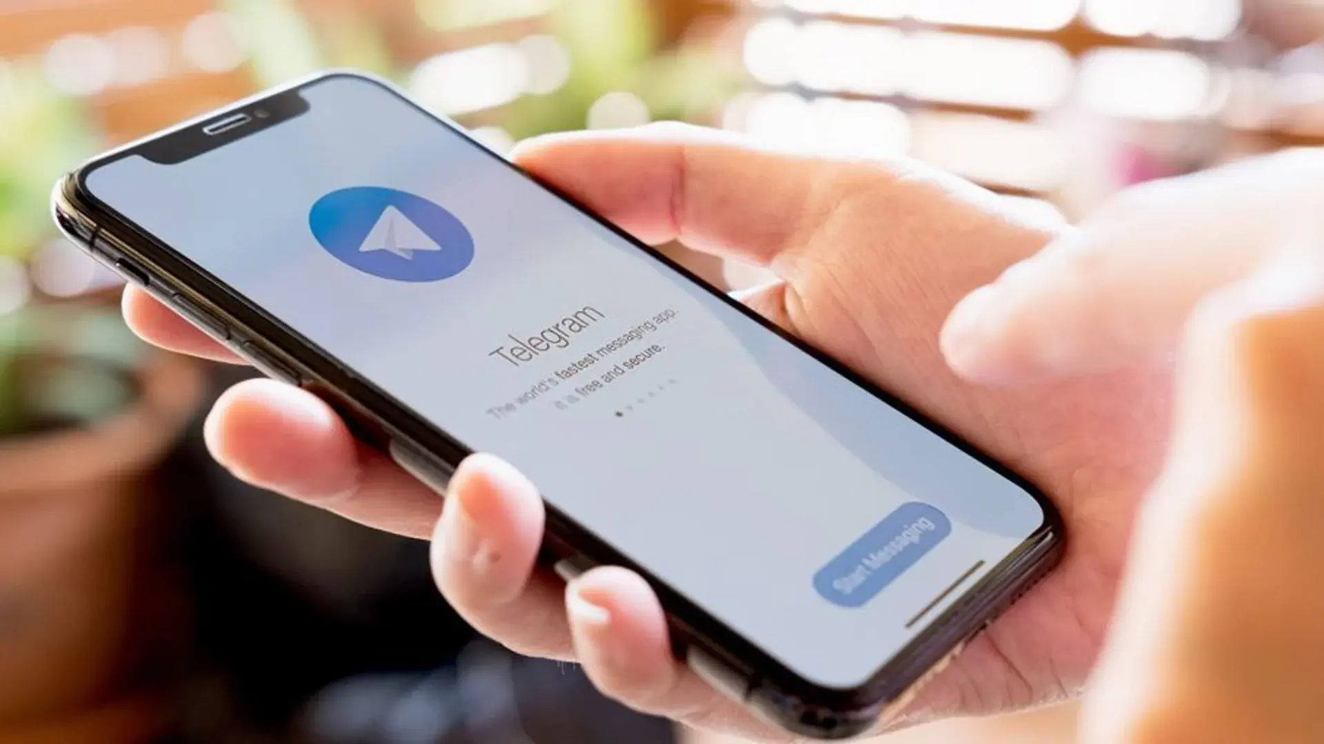Как оплатить Telegram Premium в России в 2026 году - изображение