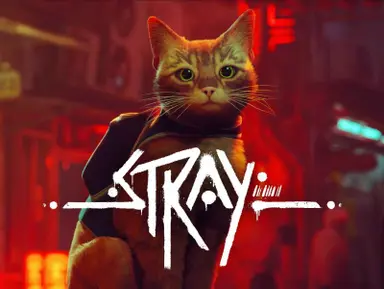 Купить Stray - изображение
