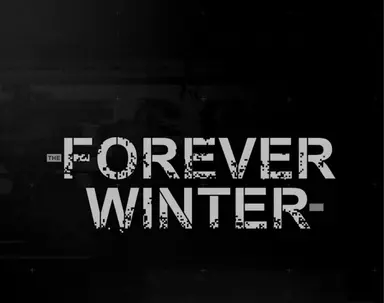Купить The Forever Winter - изображение