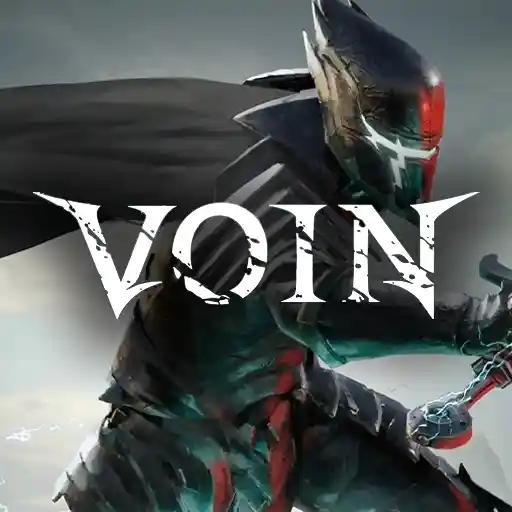 Купить VOIN - изображение