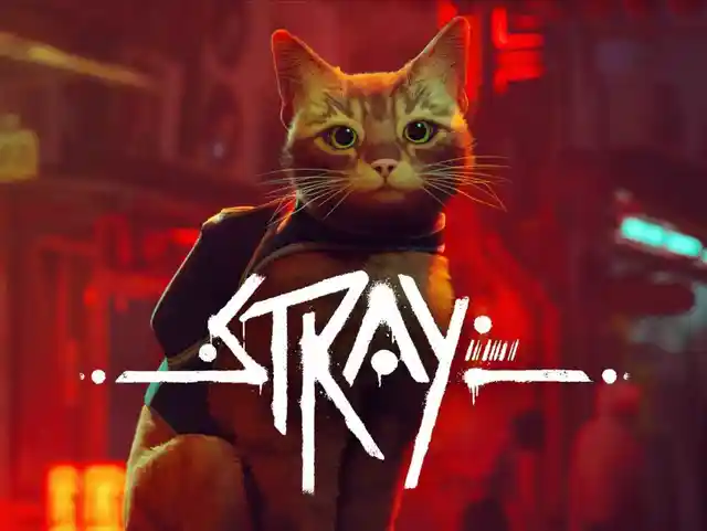 Купить Stray - изображение