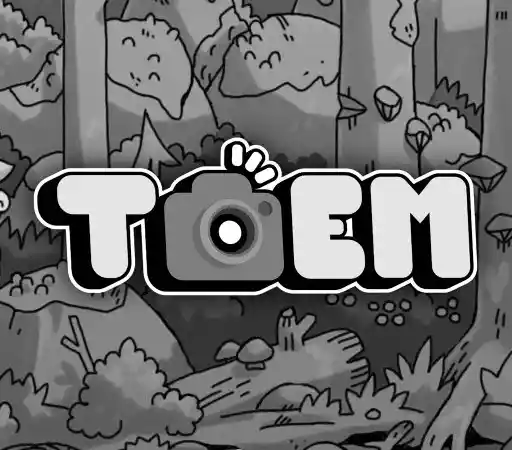 Купить TOEM: A Photo Adventure - изображение