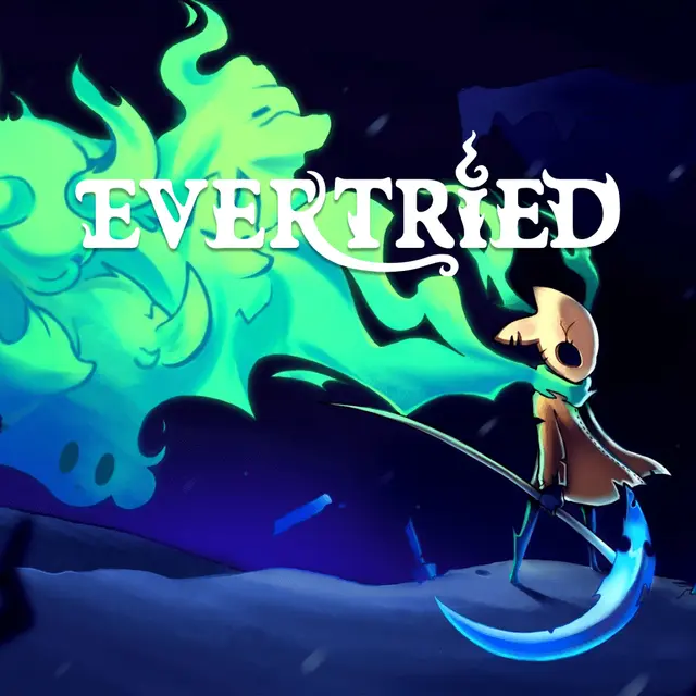 Купить Evertried - изображение